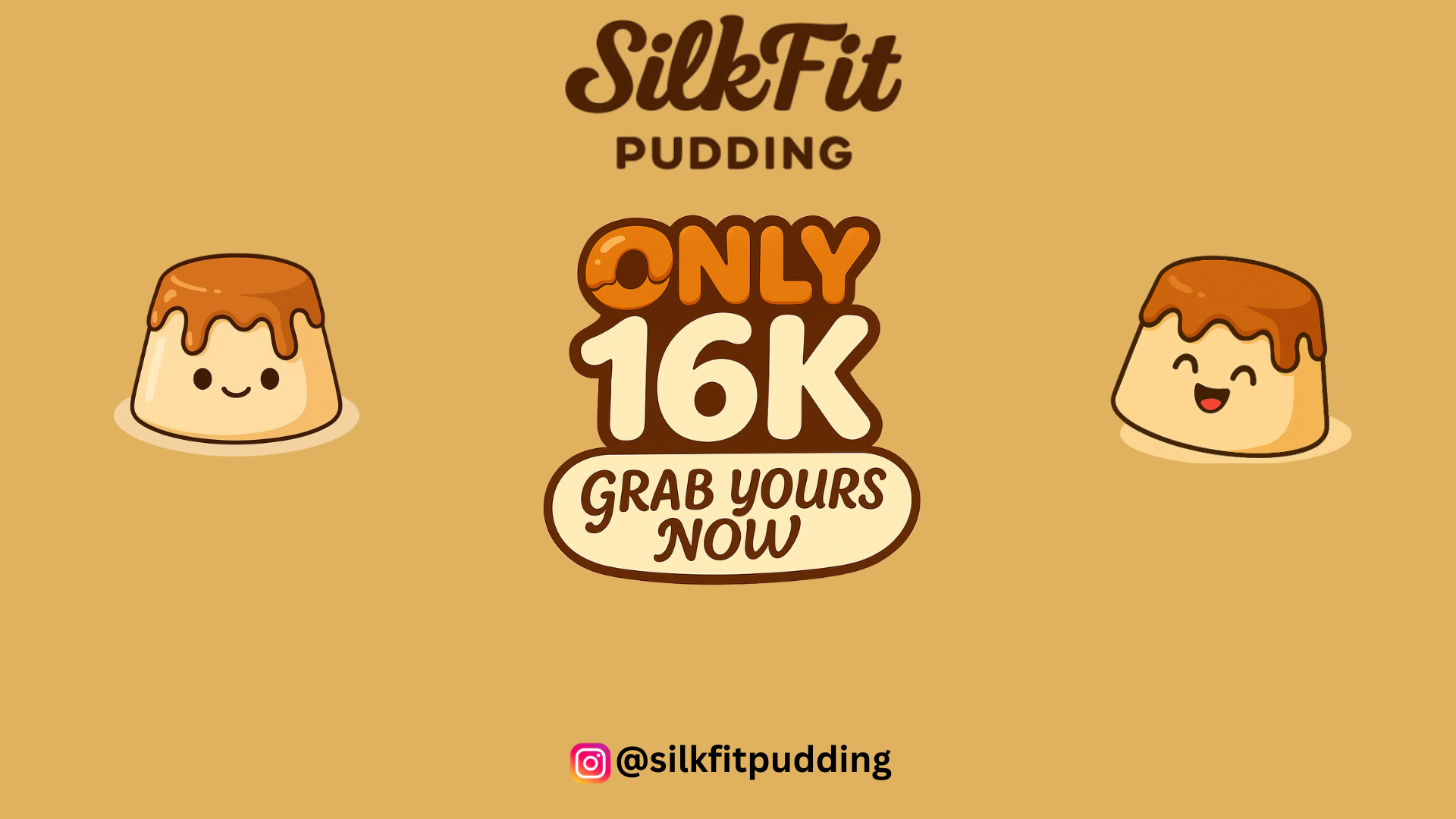 Silkfit Pudding